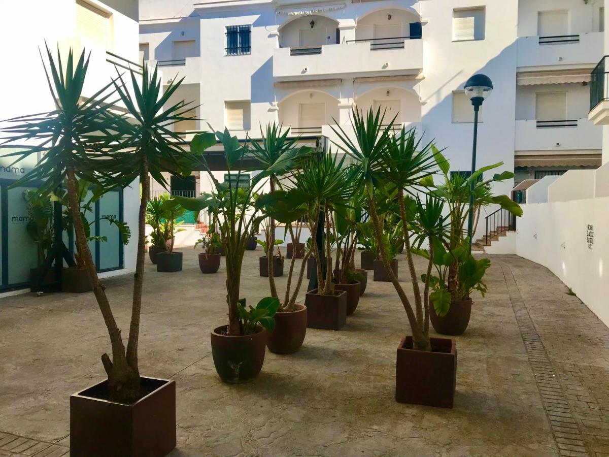 Conil Frente A La Playa Carril De La Fuente Apartment โกนิล เด ลาฟรอนเตรา ภายนอก รูปภาพ